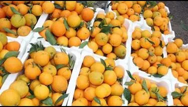 31 ������ 2025: ������ ���� ����� �������� ������� ��� �����