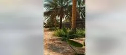 ����: ����� ��� ����� ���� ������ ����� ������ ������� ���������� �� ���� ������� ���� ��������