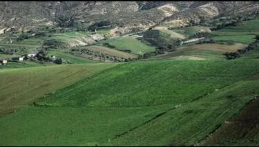 ������ ������ �� ����: ����� ����� ������� ���������� �� ������ 2026