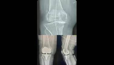 ������: ���� ���� ����� ����� ���� ������� ���� ��������� ������ �������