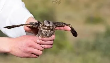 ���� ����� �������� �� ���� ���� �����.. ���� ���� ����� �����