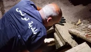 ����� ���� ���� ������ ��� ��� ����� ������� ������� ������ ���� ������� ����� ���� �������