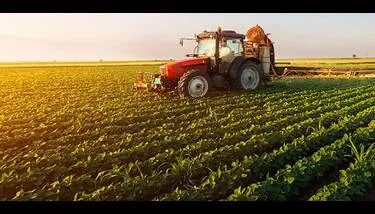 ����� ���� ����� �� �������� ������ ����� 87 ������� ��� ����� ���� 2026