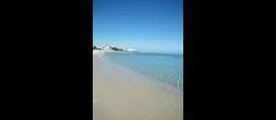 ����� ����� ���� ���� ����� ������ ����� ����� ����� �� ���� ��� 29 ������ ������